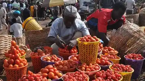 Eid-el-Kabir prices soar: tomatoes hit N130,000 per basket and pepper N57,000 in Minna
