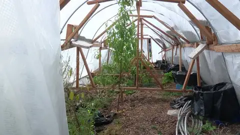 An Ogden farmer credits a homemade 'Hobbit Hole' greenhouse with saving crops from a freeze