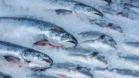 Japanese hotel chains step up purchases of certified seafood