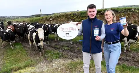 'We spotted a gap in the market and went for it': Cork siblings make ice cream on their home farm