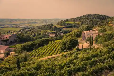 Santa Duc: a 'stunning' Grenache-based blend from the Rhône
