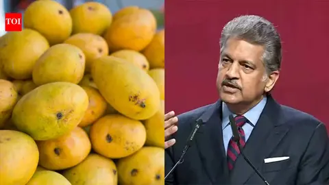 Meet the Sadabahar mango and the Kota farmer Anand Mahindra is ready to support