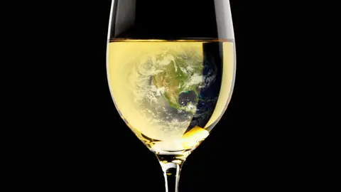 Our golden chardonnay glistens on the world stage