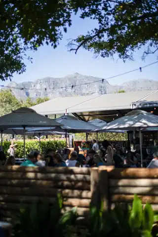 Why more families are choosing wine estates for 'famcay' getaways