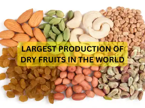 Which country produces the most dried fruit in the world?