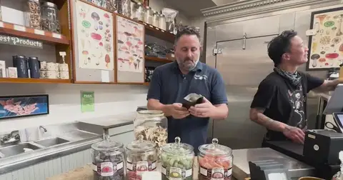 Mushrooms are winning more attention from the Bay Area's food and wellness scenes