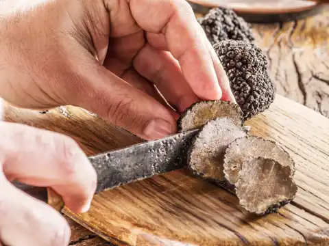 Wild food experiences for a true taste of nature