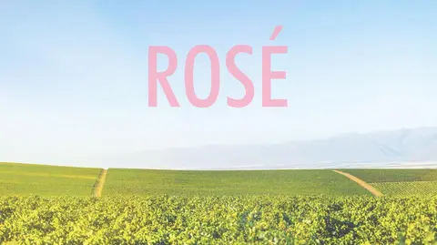 Getting to know rosé wine