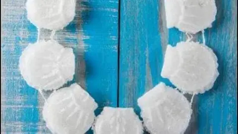 Taste of Life: how sugar garlands became symbols of swadeshi pride