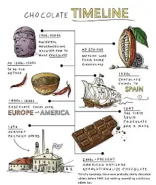 The history of chocolate