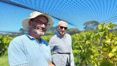A communal harvest kicks off at a small Martinborough winery