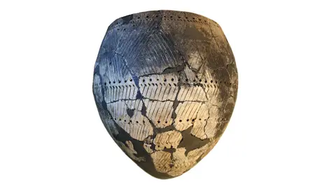 How ancient pottery preserves proof of early plant-eating