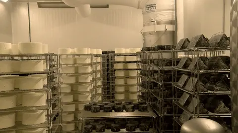 From two goats to national shelves: Mary Keehn shares the Cypress Grove story