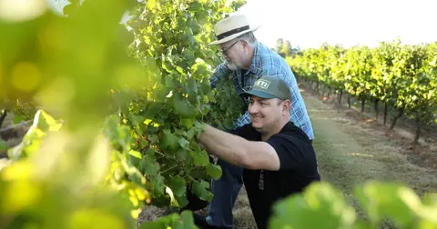 'Believe the hype': Hunter Valley winemakers rave about the 2026 vintage