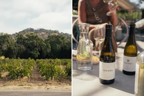 Fresh crisis for Napa Valley: a rogue winemaker faces bankruptcy