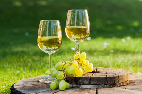White wines: why sauvignon blanc reigns