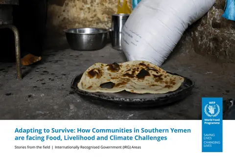 Adapting to survive: how communities in southern Yemen face food, livelihood and climate challenges