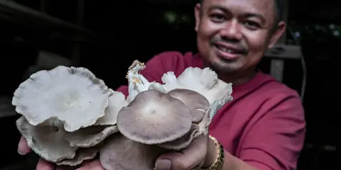 Turning a favourite dish into a mushroom empire