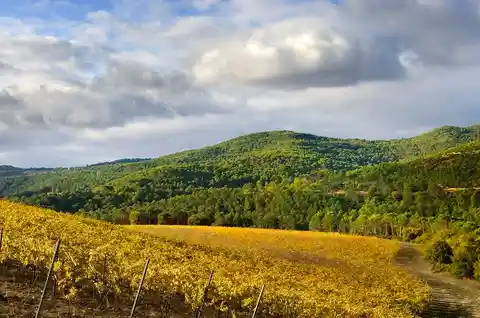 Our expert picks 18 wines from the mountains of Navarra you need to taste
