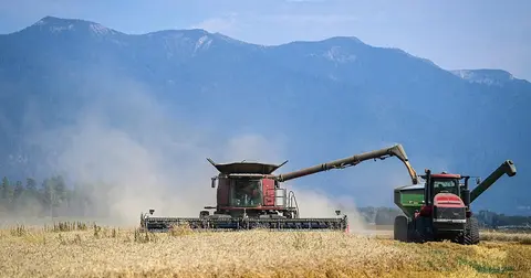 A statewide summit looks at local food and agriculture